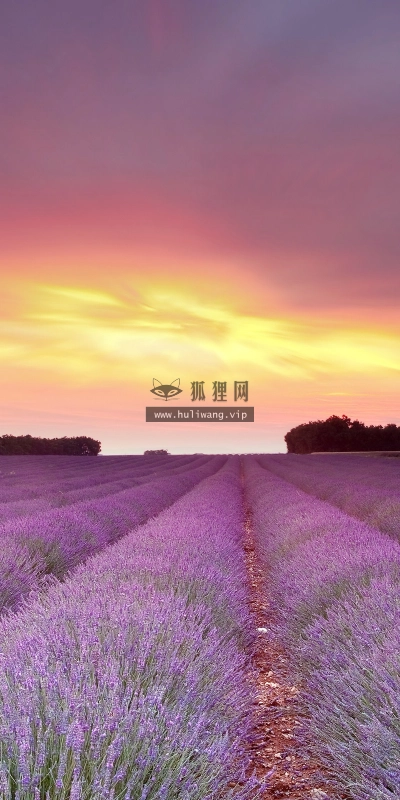 【5136】风景壁纸  2K 高清壁纸2560_1600@青蛙壁纸-笨猫小站