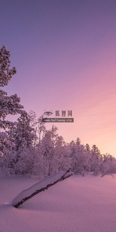 【23888】风景壁纸  2K 高清壁纸2560_1600@青蛙壁纸-笨猫小站