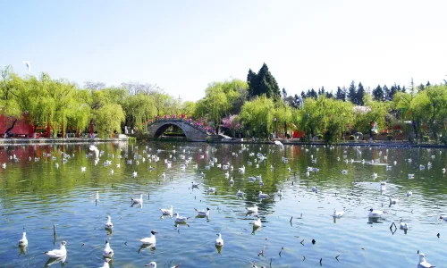 【25969】风景壁纸  4K 超清壁纸3840_2400@青蛙壁纸-笨猫小站