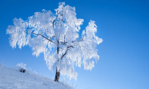 【26027】风景壁纸  4K 超清壁纸3840_2400@青蛙壁纸-笨猫小站